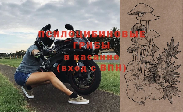 стафф Алзамай
