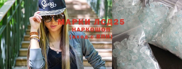 стафф Алзамай