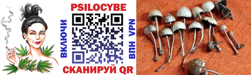 что такое наркотик  Арсеньев  Галлюциногенные грибы Psilocybine cubensis 