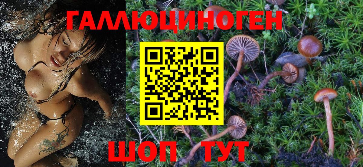 Галлюциногенные грибы мицелий Арсеньев