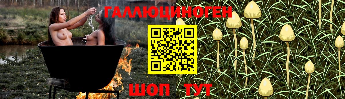 даркнет сайт  Вход с VPN  Псилоцибиновые грибы MAGIC MUSHROOMS  Арсеньев  Галлюциногенные грибы GOLDEN TEACHER 